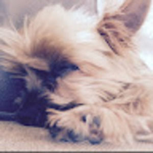 Meet your Posher, Elsa